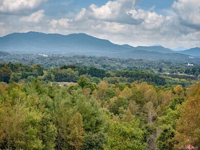 96 Destination Dr unit V89, Asheville, NC 28806 - photo 2