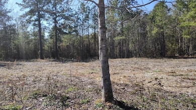 NHN Lot 33 Magenta Ln, Picayune, MS 39466 - photo 4