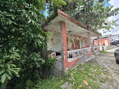 1 Bo Lomas, Canovanas, PR 00729 - photo 6