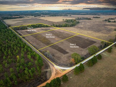 003 An County Road 117, Elkhart, TX 75839 - photo 6