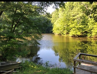 539 Barton Creek Rd, Cordova, AL 35550 - photo 4