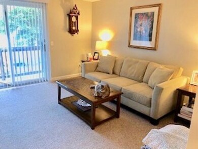 51 Alvarado Ave unit 203, Worcester, MA 01604 - photo 5