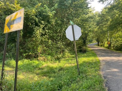 2003 Junior Rd, Franklin Furnace, OH 45639 - photo 4