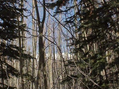 20081122-1