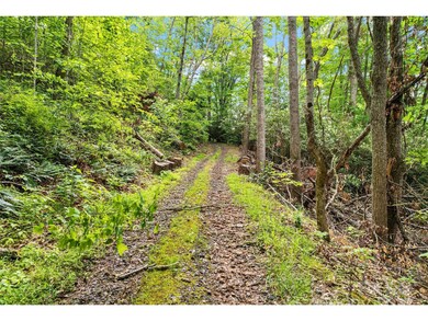 X Bee Branch Rd, Bakersville, NC 28705 - photo 5