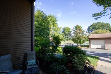 IMG_2038