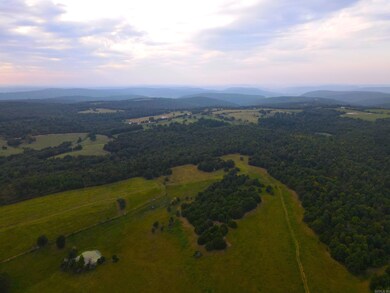 220 +/- Plumlee Rd, Compton, AR 72624 - photo 5