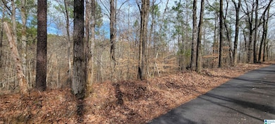 45 Coosa View Ln, Riverside, AL 35135 - photo 4