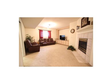 Recreation Room in the basement offers fireplace a