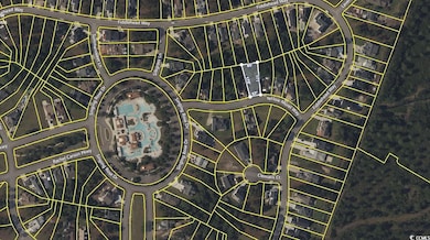 2214 Yellow Morel Way, Myrtle Beach, SC 29579 - photo 2