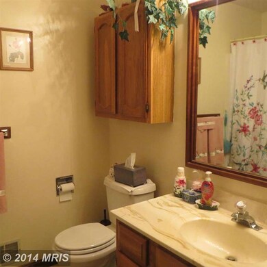 677 Marple Rd, Winchester, VA 22603 - photo 4