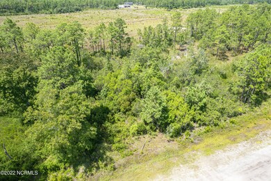 Lot 29 W South Shore, Boiling Spring Lakes, NC 28461 - photo 4