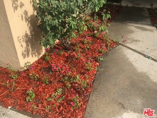 Flowerbeds