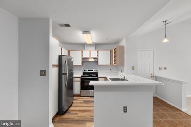 4406 Silverbrook Ln unit J302, Owings Mills, MD 21117 - photo 3