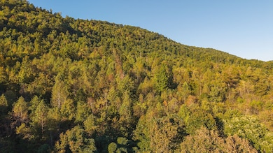 97 Acres Black Valley Rd, Sneedville, TN 37869 - photo 3