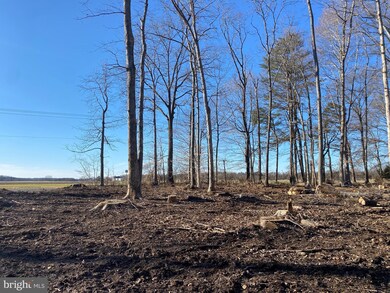 0 Pomona Rd unit MDKE2001116, Chestertown, MD 21620 - photo 4