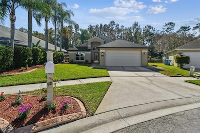 29228 Birds Eye Dr, Wesley Chapel, FL 33543 - photo 3