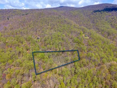 TBD Red Bird Dr, Stanardsville, VA 22973 - photo 4