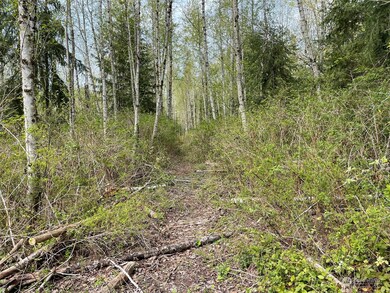 16201 30th Ave NW, Lake Goodwin, WA 98292 - photo 6