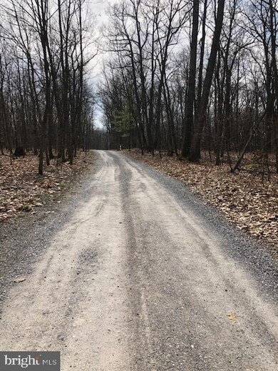 0 Means Hollow Rd unit PACB122764, Shippensburg, PA 17257 - photo 5