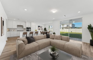 33417 Binding Ties Ln, Wesley Chapel, FL 33545 - photo 2