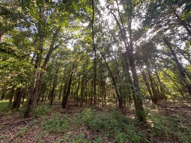 12295 S Bee Emet Rd, Milburn, OK 73450 - photo 6