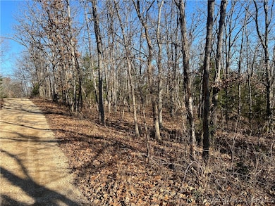 0 Lavender Rd unit 3582831, Moreau Township, MO 65011 - photo 5