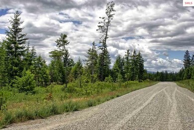 Lot B7 Northern Sky Rd, Athol, ID 83801 - photo 5