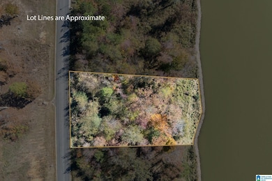 0 Willow Dr unit 21436835, Lincoln, AL 35096 - photo 2