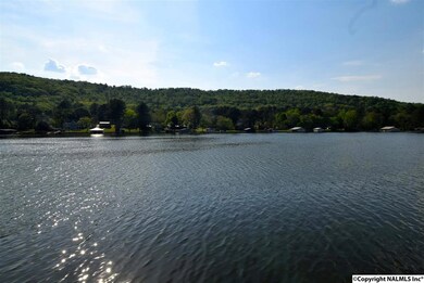 2002 White Elephant Rd, Grant, AL 35747 - photo 4