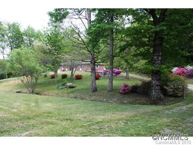 Large yard or pasture