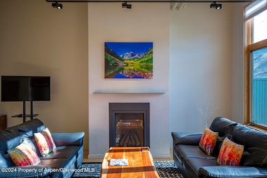 231 Robinson St unit R330, Basalt, CO 81621 - photo 6