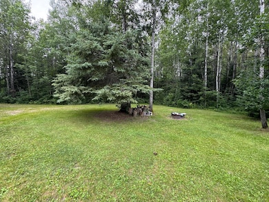 TBD Tangnes Forest Rd, Southeast Roseau Unorg. Terr., MN 56673 - photo 6