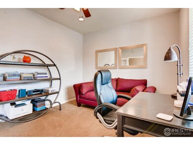 13082 Tamarac Place, Thornton, CO 80602 - photo 7