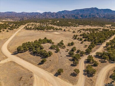 10246 Rawhide Creek Rd, Nathrop, CO 81236 - photo 5