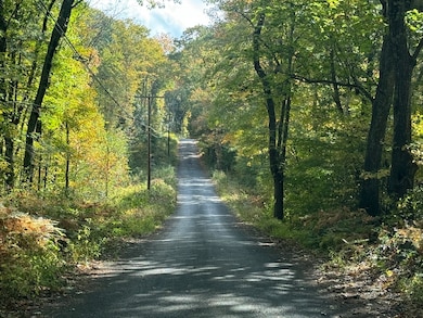 29, 31, 33 Ladd Rd, Sturbridge, MA 01566 - photo 6