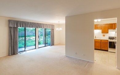 2610 Northampton Dr unit B1, Rolling Meadows, IL 60008 - photo 2