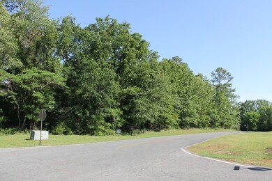 0 Timberlane Dr, Americus, GA 31709 - photo 4