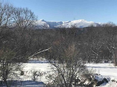 22 Brinkerhoff Ln unit 2, Stowe, VT 05672 - photo 5