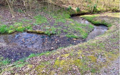 Additional View