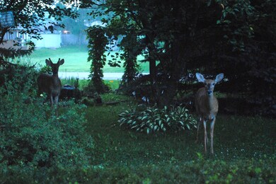 292 Deerpath Ln unit 1, Carpentersville, IL 60110 - photo 4