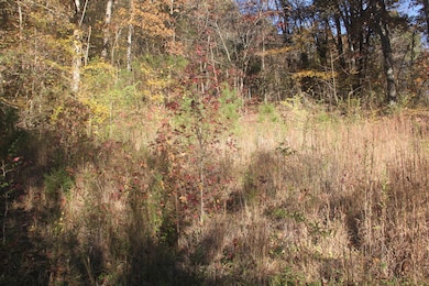 1101 Salem Rd, Rossville, GA 30741 - photo 4