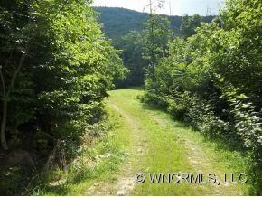 Driveway and view