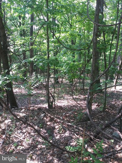 60 High Mountain View Rd, Three Chrs, WV 26757 - photo 4