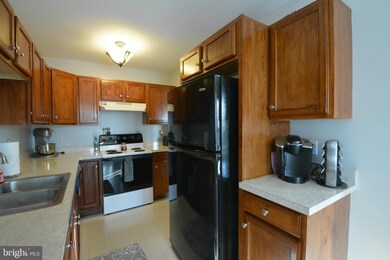 335 Wild Cherry Ln, Marietta, PA 17547 - photo 5