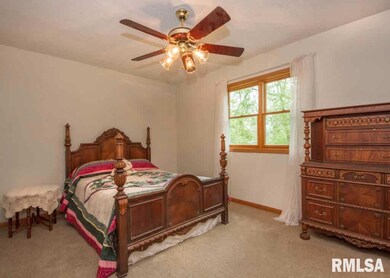 24388 Ridge Rd, Colona, IL 61241 - photo 4