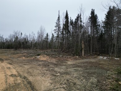 Lot 52.3 Lagrange Rd, Howland, ME 04463 - photo 3