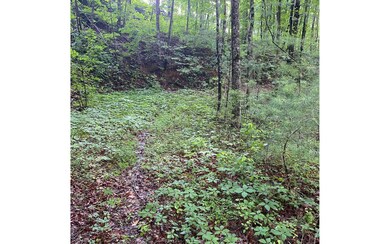 Additional View