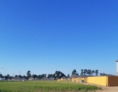 15239 Albert Oak Dr, Humble, TX 77396 - photo 6