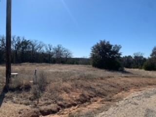 231 Cottongame Dr, Weatherford, TX 76088 - photo 3